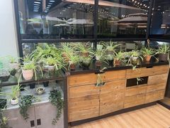 -813芭依珊 BAESAn(皇冠十畝地店)