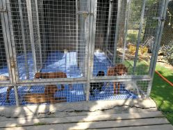 -萌宠亲子动物乐园(槐房万达店)