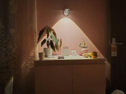 -齐伽生活馆·瑜伽·普拉提·阿育吠陀