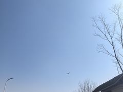 -盐城丹顶鹤湿地生态旅游区