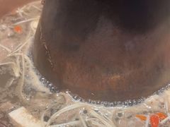 -东来顺饭庄(上地华联店)