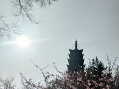 -上海方塔园
