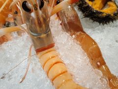 -吉兆·料理(红梅南路店)