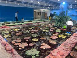 -钓虾工场·钓虾·赶海(回龙观店)