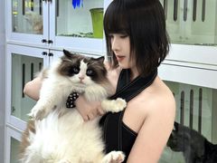 -青奢宠物·青奢猫舍