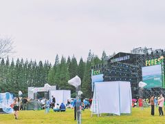 -黄海国家森林公园