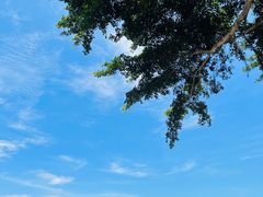 -深圳湾公园(南山区)