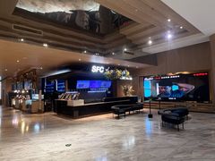 -SFC上影影城(港汇永华IMAX激光店)