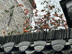 -新安江山水画廊风景区