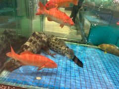 -聚福宝合苑食府(南头镇店)