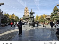 -大慈恩寺(大雁塔)