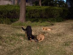 -上海浦东软件园祖冲之园-停车场