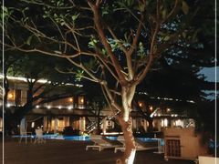 -喜洲吧·江畔老船厂·庭院餐厅(喜临院店)
