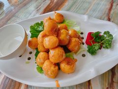 -椿记烧鹅(叠彩店)