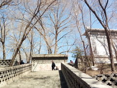-五台山风景名胜区-罗睺寺