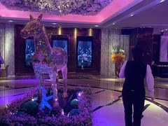 -纯K(打浦桥店)