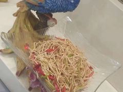 -一家人(凯旋路店)