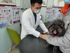 -美联众合动物医院(唯恩分院)