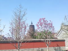 -西海子公园