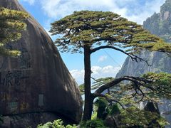 -黄山风景区
