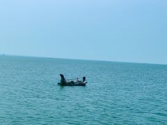 -滕州微山湖红荷湿地景区