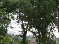 -府河摄影公园