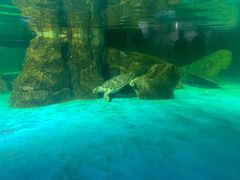 -常州海昌海洋探索馆