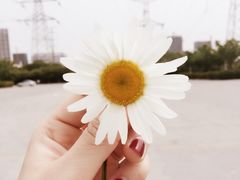 城市生态森林公园-昆山城市生态森林公园