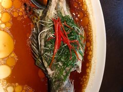 清蒸桂鱼-ZEN采蝶轩·粤味臻鲜·手作点心·商务宴请(泰州店)