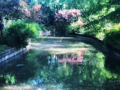 -上海醉白池公园