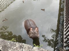 -海南热带野生动植物园