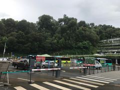 -深圳仙湖植物园-停车场