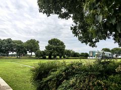-西京湾花海