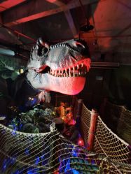 -恐龙探索乐园(磁器口店)