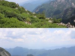 -朱雀国家森林公园