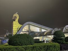 -德宏芒市国际机场