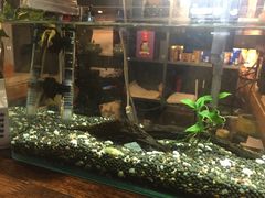 -有才叔的小馆(招商依云曲江店)