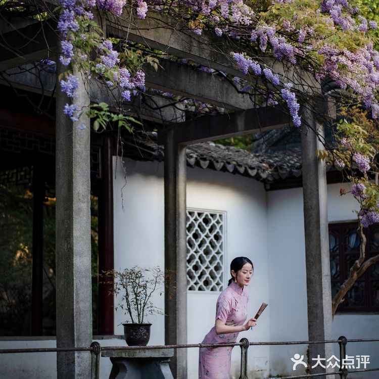 苏州最安静的紫藤花赏花点！