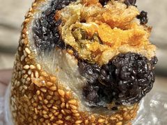 -六广门毛阿姨糯米饭