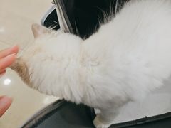 -佳雯宠物医院·皮肤科·内外科(春晓路分院)