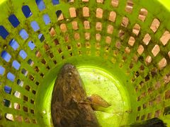 -君德澜酒家·创意粤菜(金山谷店)