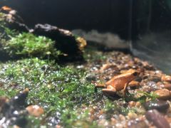 -暹罗海洋世界