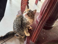 -岛中岛·海鲜大排档·万宁老字号(东澳店)