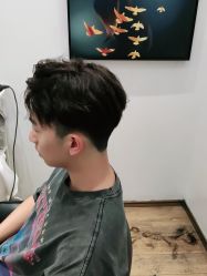 -YESIDO椰岛造型