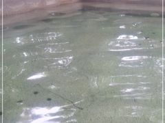 -大连金石滩绿发温泉假日酒店