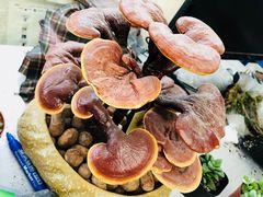-龙大花卉苗木市场