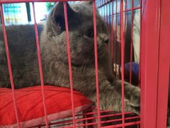 -第三空间·趣味桌游·轰趴.室内CS.剧本杀(大武汉1911店)