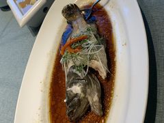 -宝燕壹号(徐汇店)