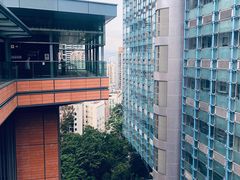 -香港大学