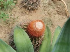 -西安世博园